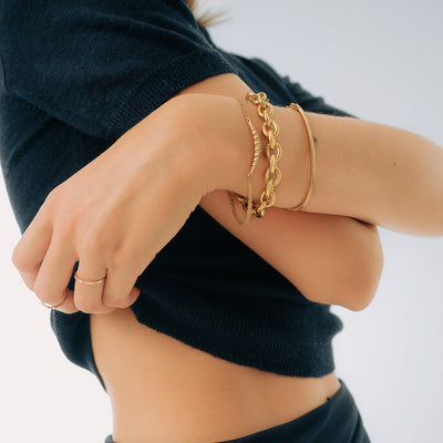 سوار سائل بلير