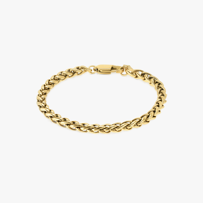 سوار فرانكي